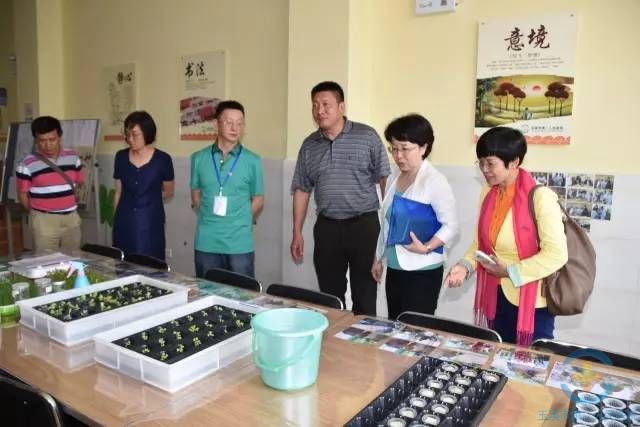 国家调研组到我市调研精神卫生综合管理（玉溪）试点工作