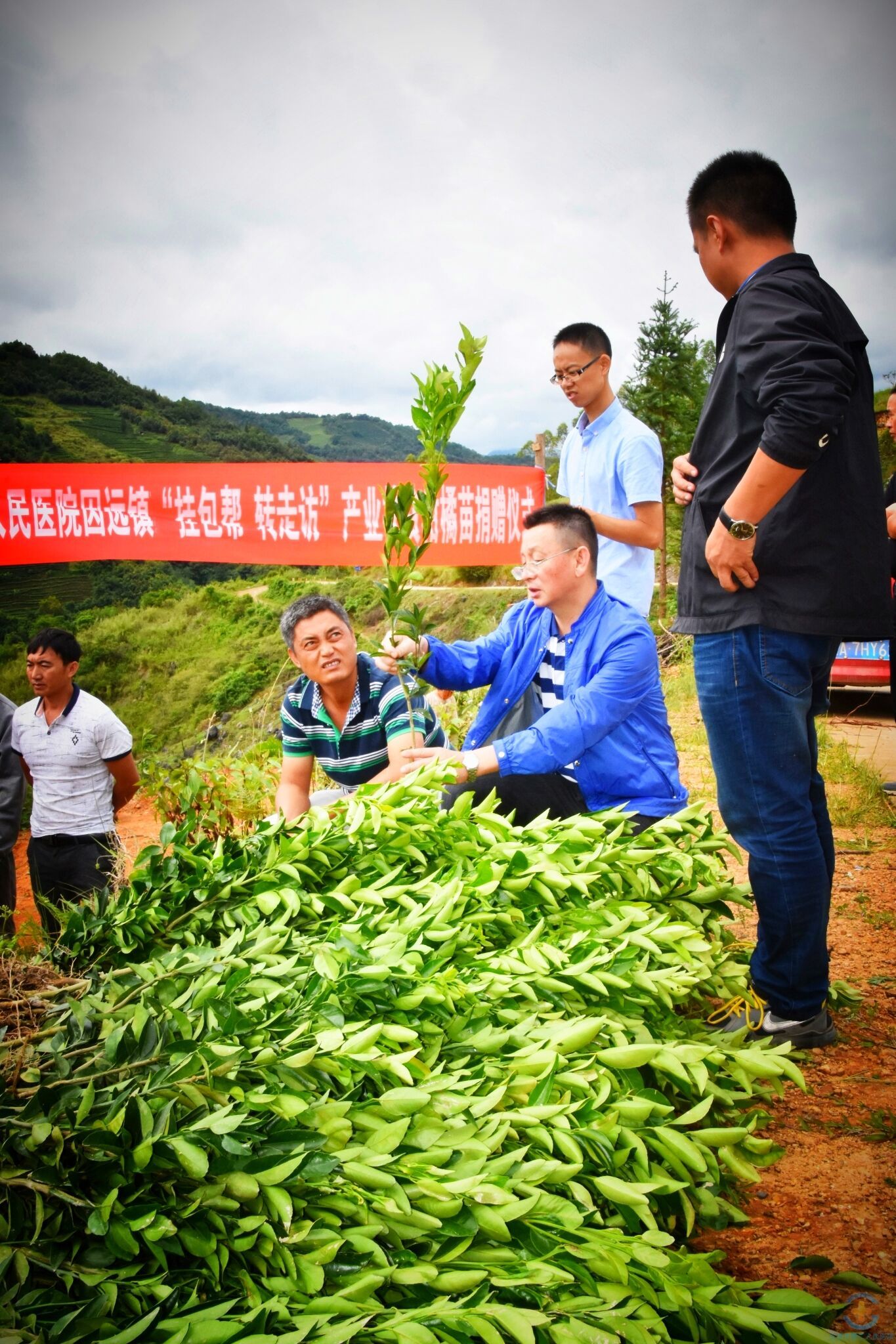 精准扶贫送果苗 产业扶贫增希望——我院扎实推进柑橘种植项目助力推进脱贫攻坚