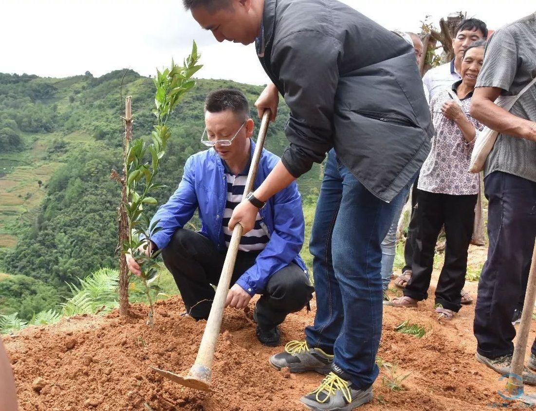 精准扶贫送果苗 产业扶贫增希望——我院扎实推进柑橘种植项目助力推进脱贫攻坚