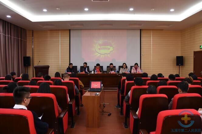 共青团玉溪市第二人民医院委员会召开第四届团员大会